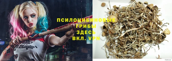 экстази Горнозаводск
