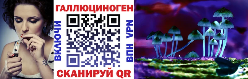 Псилоцибиновые грибы ЛСД цены Черногорск