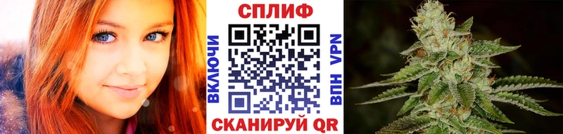 Шишки марихуана индика  ссылка на мегу онион  Черногорск 